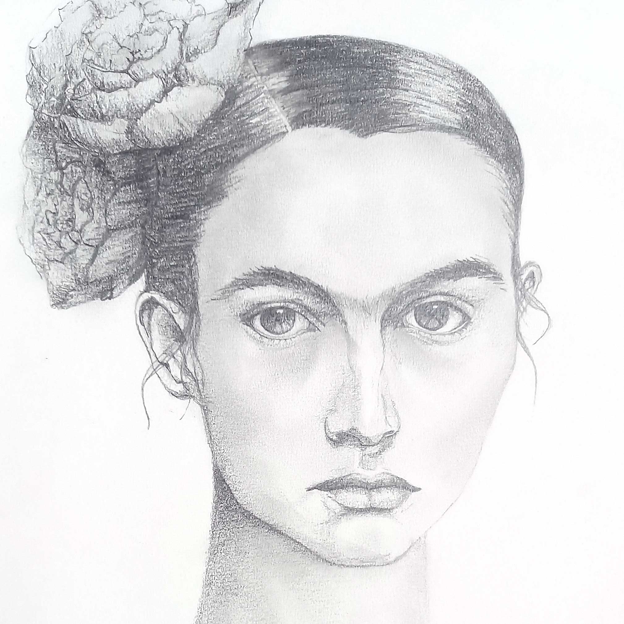 Portrait graphite