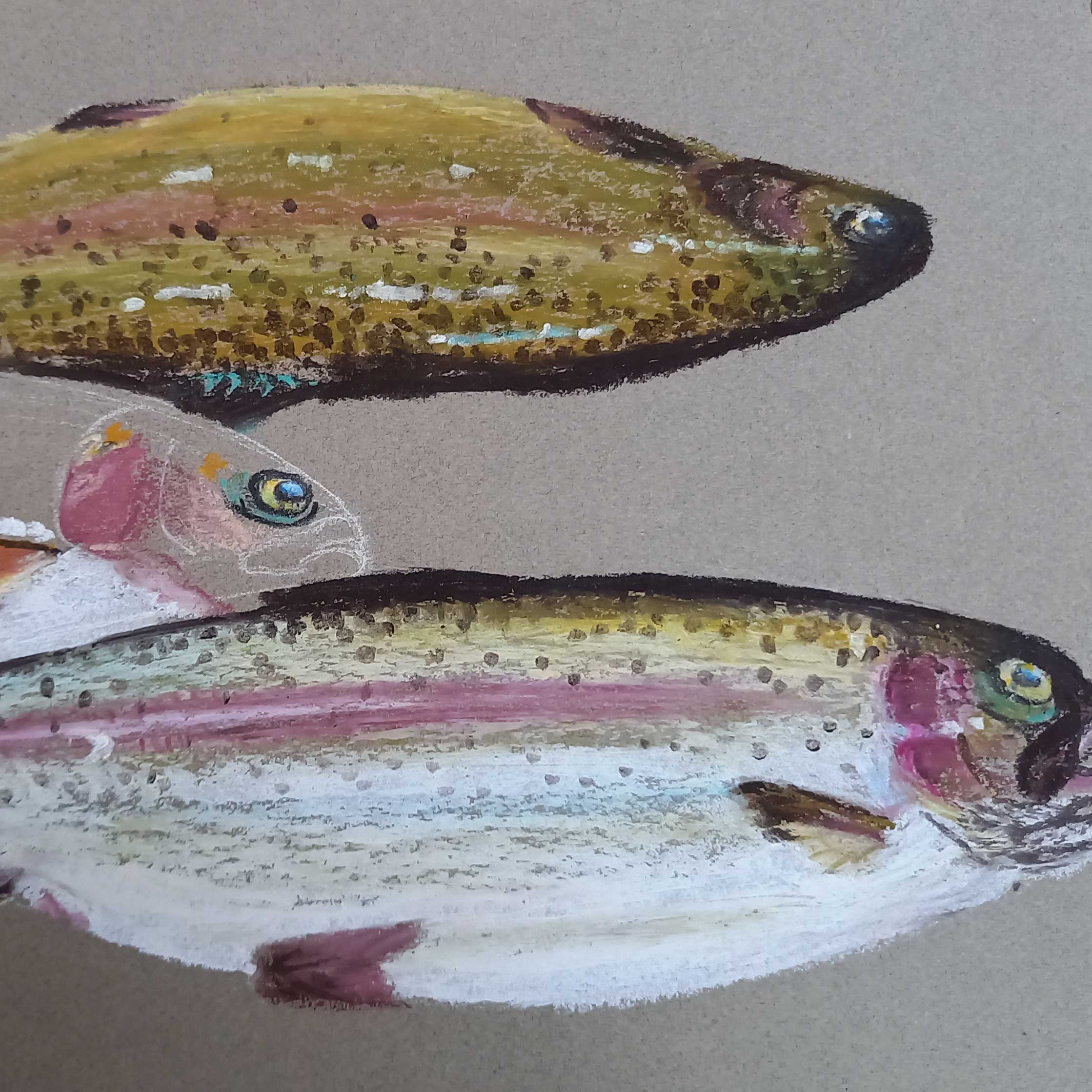 Poissons