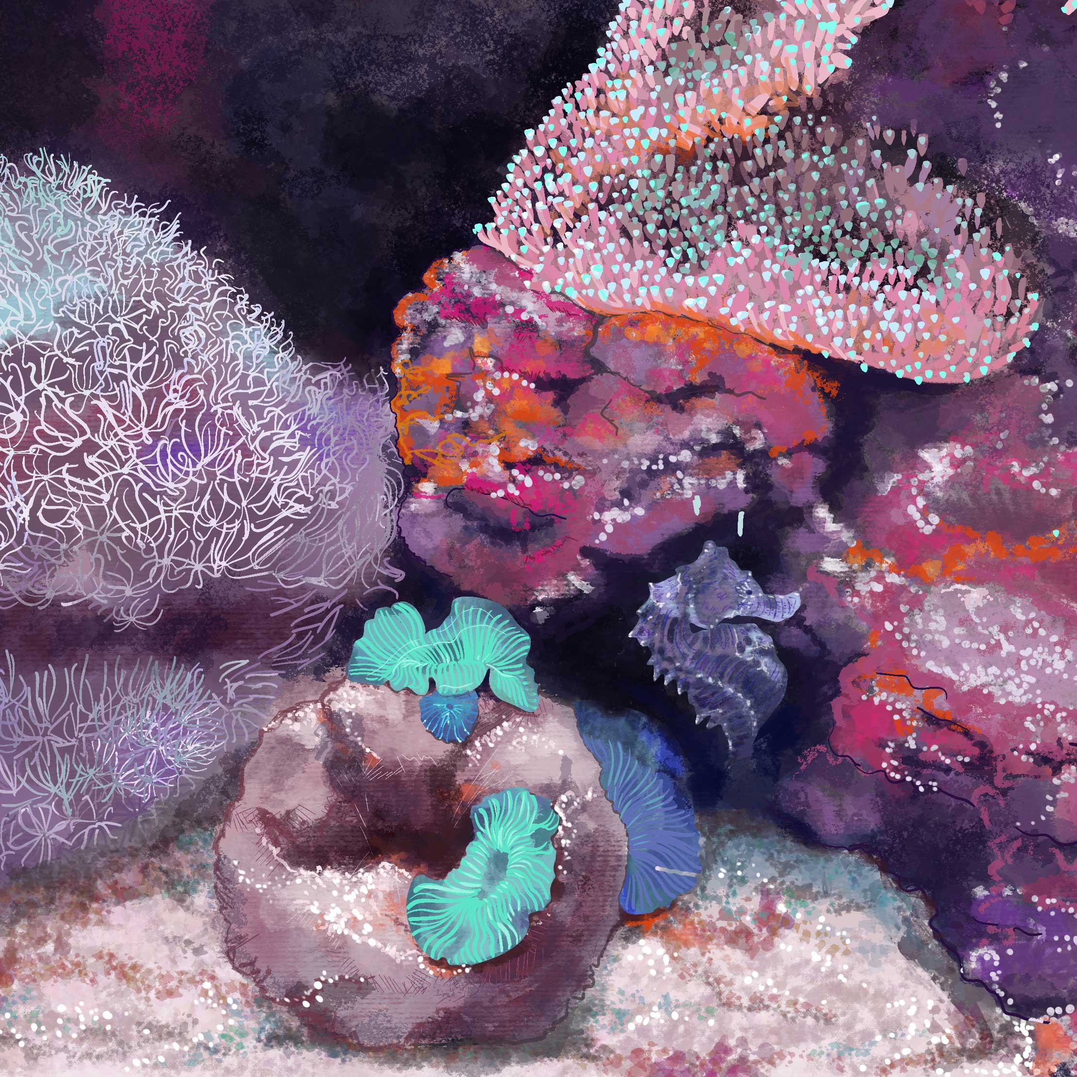 Hippocampe aquarium